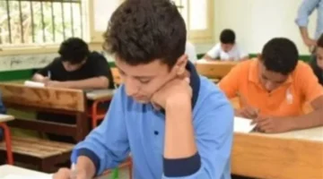 بوابة القاهرة التعليمية.. رابط نتائج صفوف النقل للمرحلتين الابتدائية والإعدادية بالرقم القومي